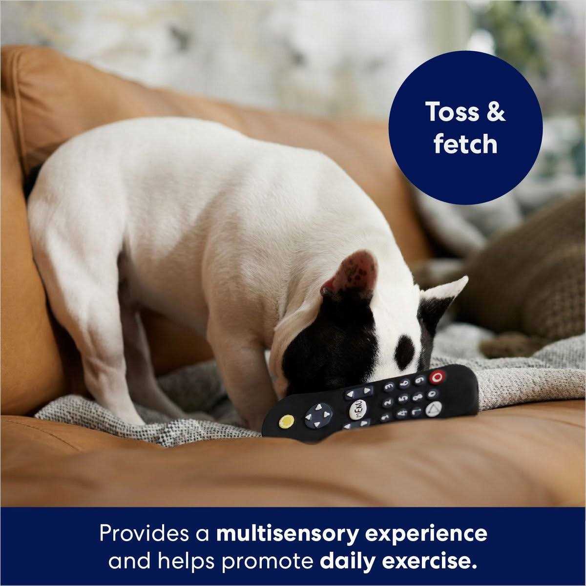 Frisco Zoomies & Chill Remote Latex Squeaky Dog Toy - Healthber