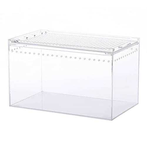 NANEEZOO Magnetic Acrylic Enclosure 10x6x6 Inch Tall Long Case Reptile Habitat Terrarium cage for Terrestrial Arboreal Tarantula Scorpion Sling - Healthber
