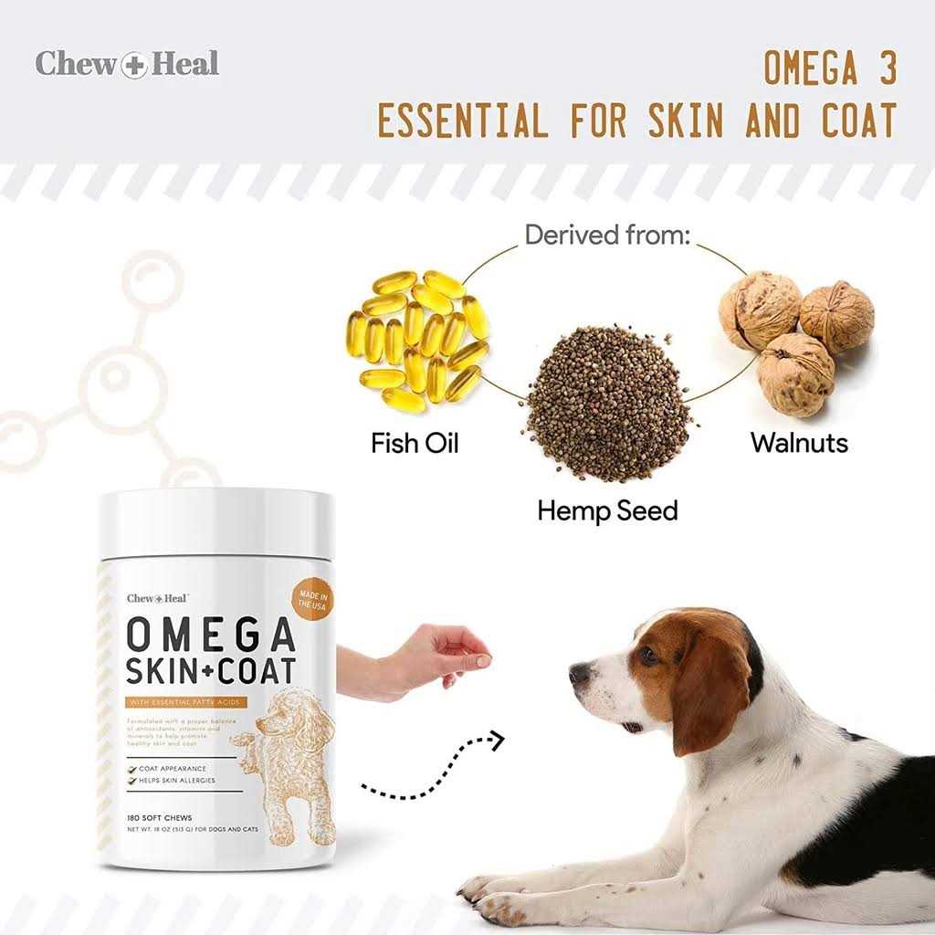 Chew + Heal Omega Skin & Coat Supplement - Healthber