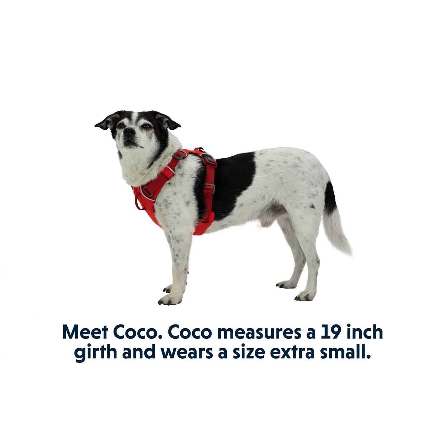 Front Range Harness Ruffwear - Healthber