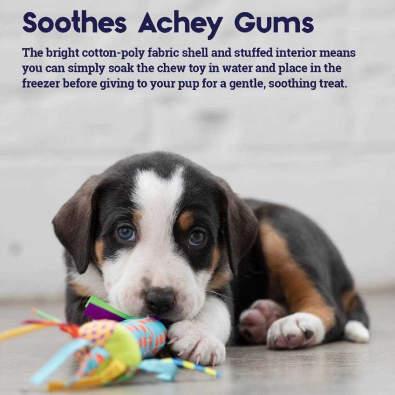 Petstages Cool Teething Stick Dog Toy - Healthber