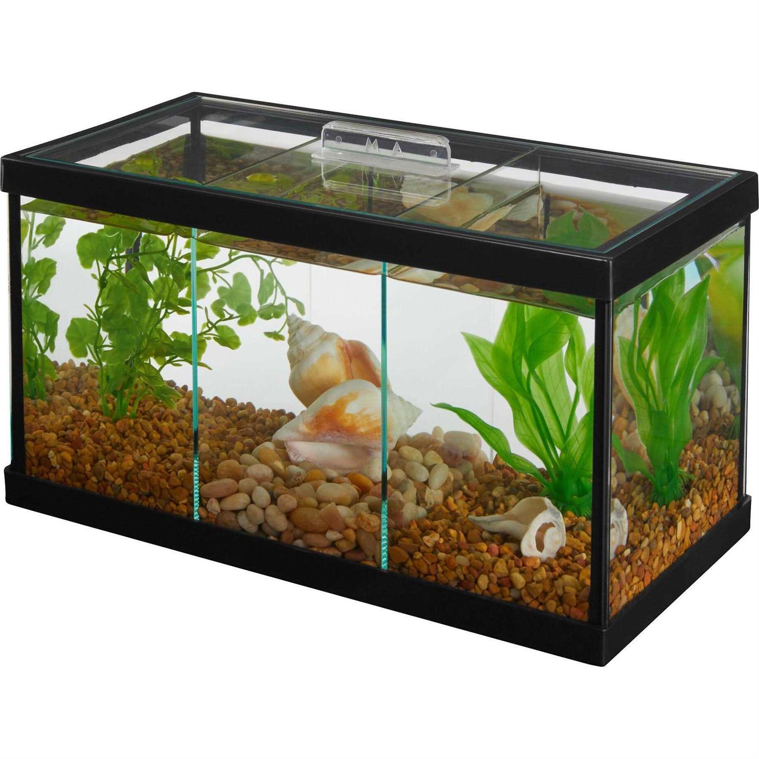Frisco 3 Betta Aquarium with Divider/Top - Healthber