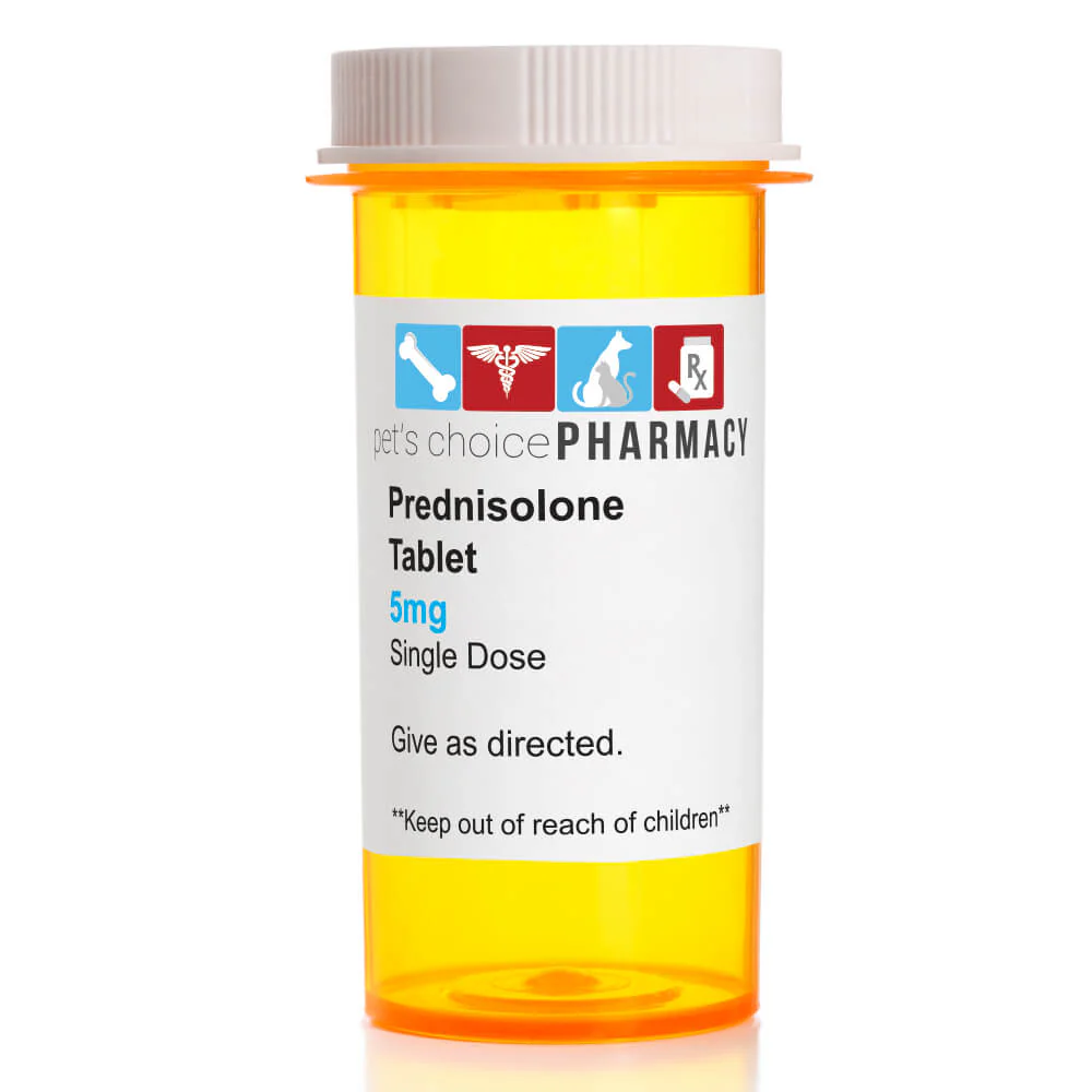 Rx PrednisTab (prednisolone) Oral Tablets - Healthber