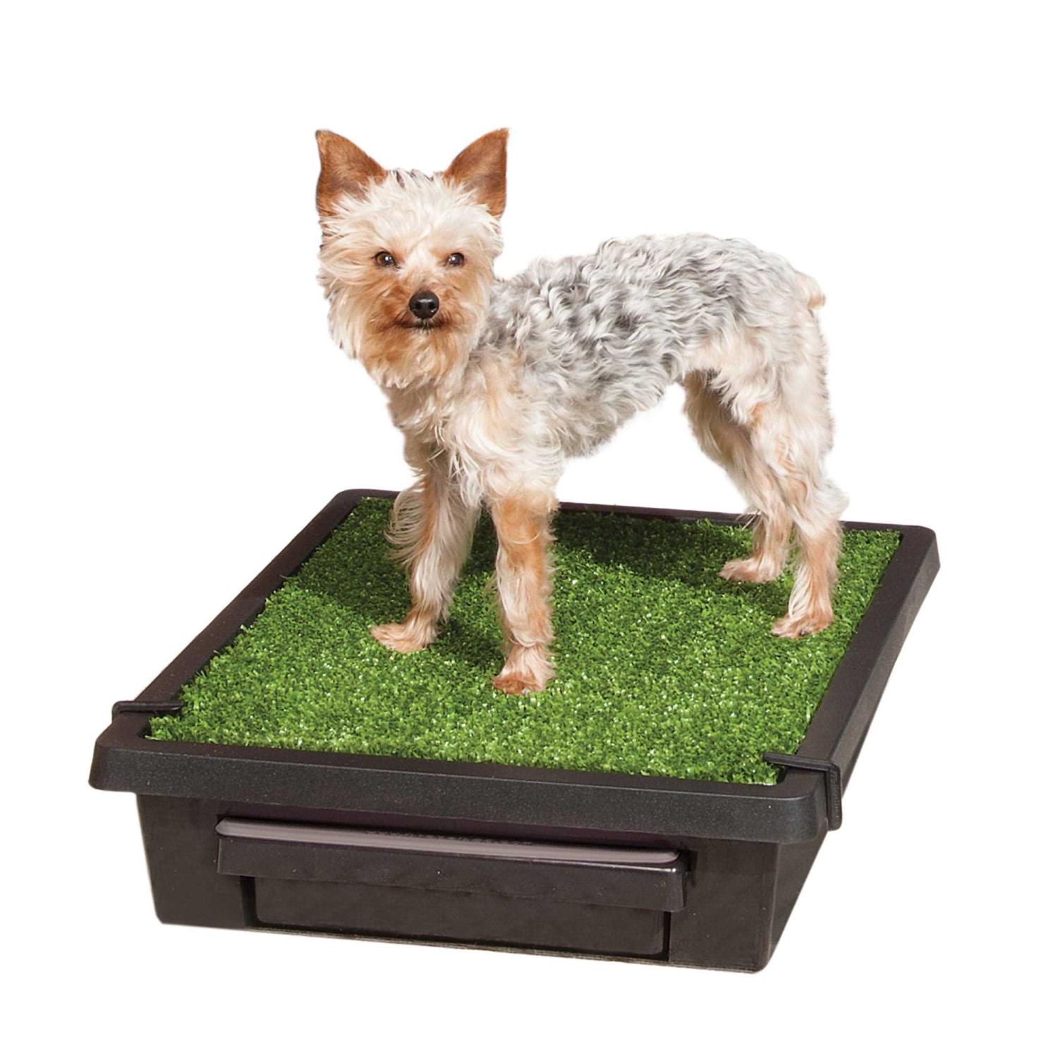 PetSafe Pet Loo - Healthber