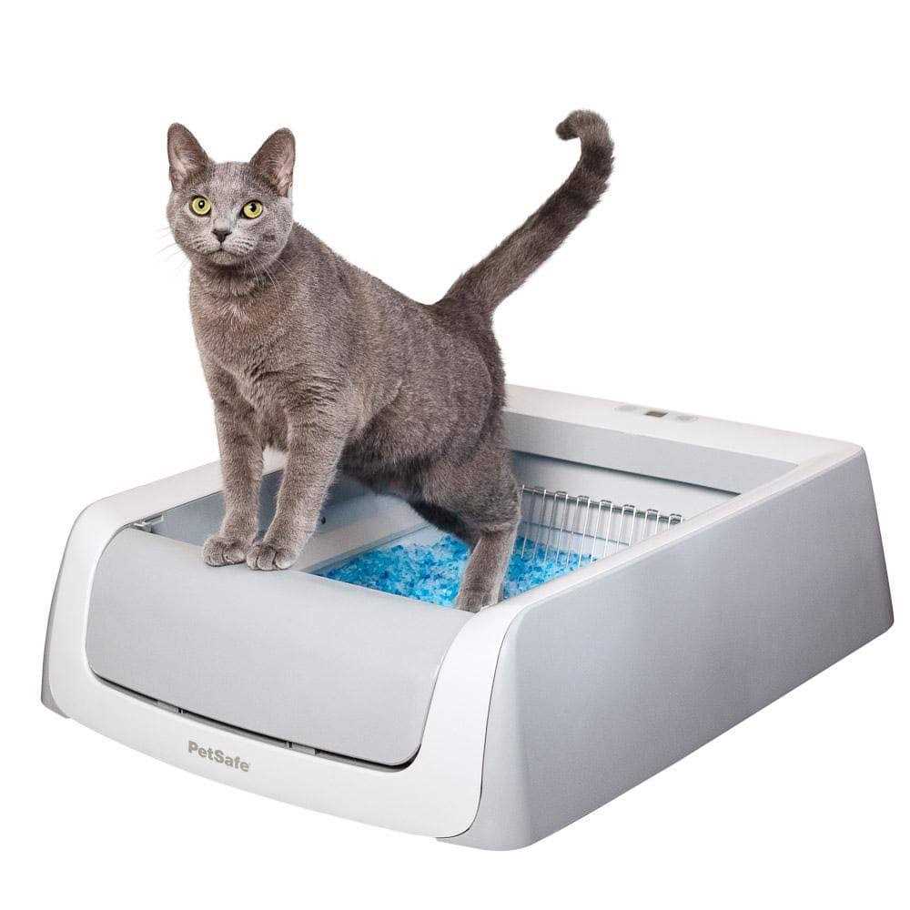 PetSafe ScoopFree Self-Cleaning Cat Litter Box - Healthber