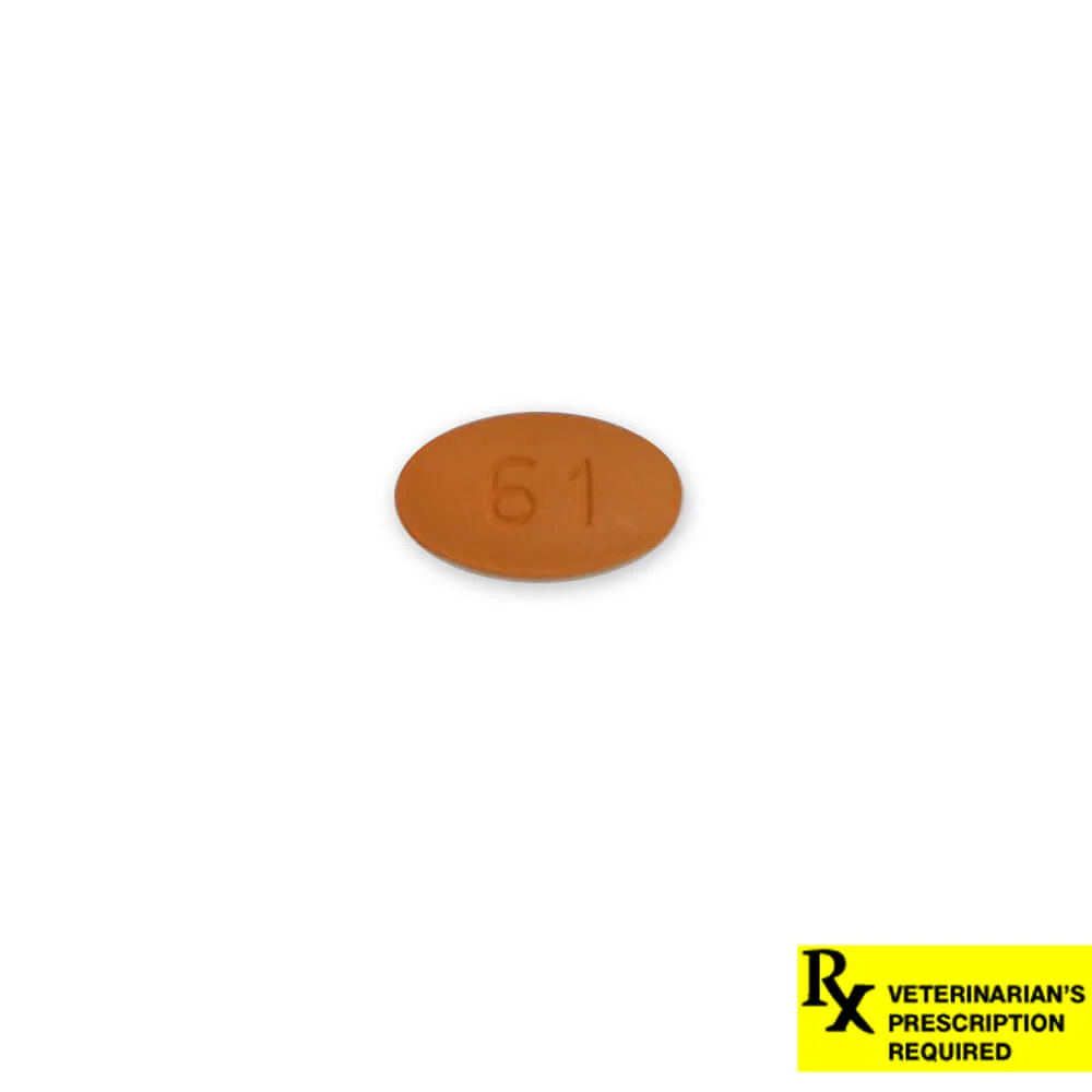 Rx Cefpodoxime Proxetil (Generic) Tablets for Dogs - Healthber