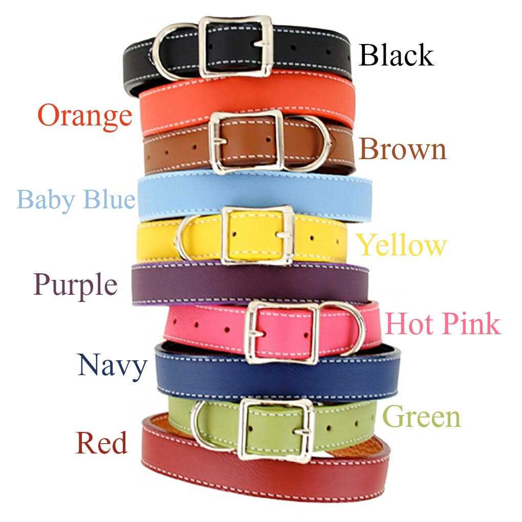 Auburn Leather Dog Collar - Healthber