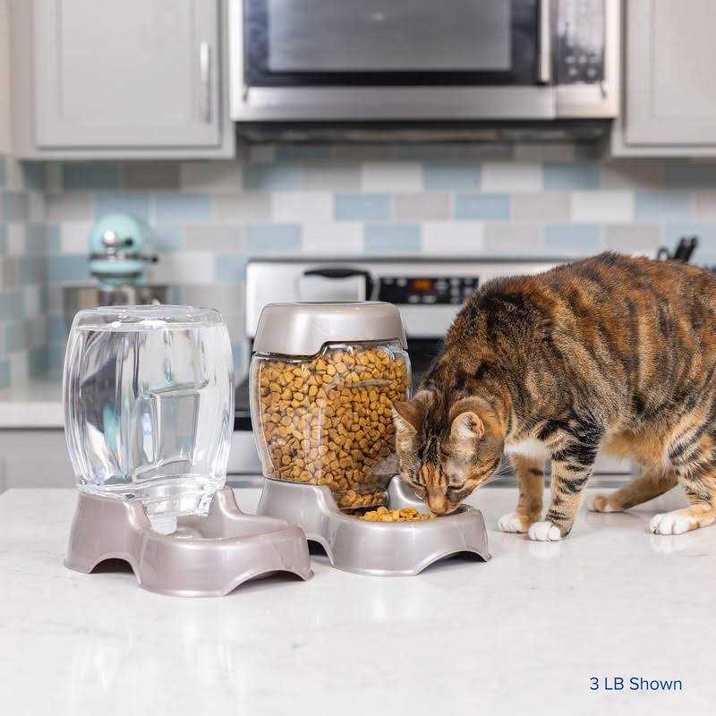 Petmate Cafe Pet Feeder - Healthber