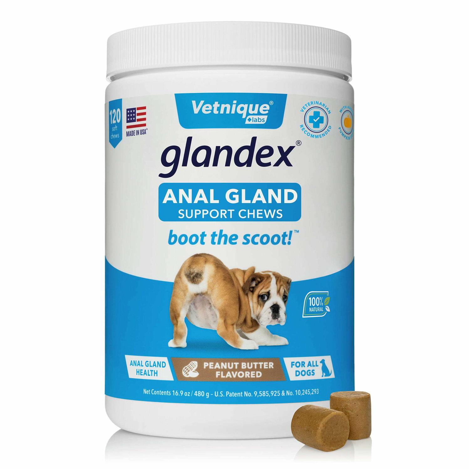 Glandex Anal Gland Support Peanut Butter Chews for Dogs - Healthber