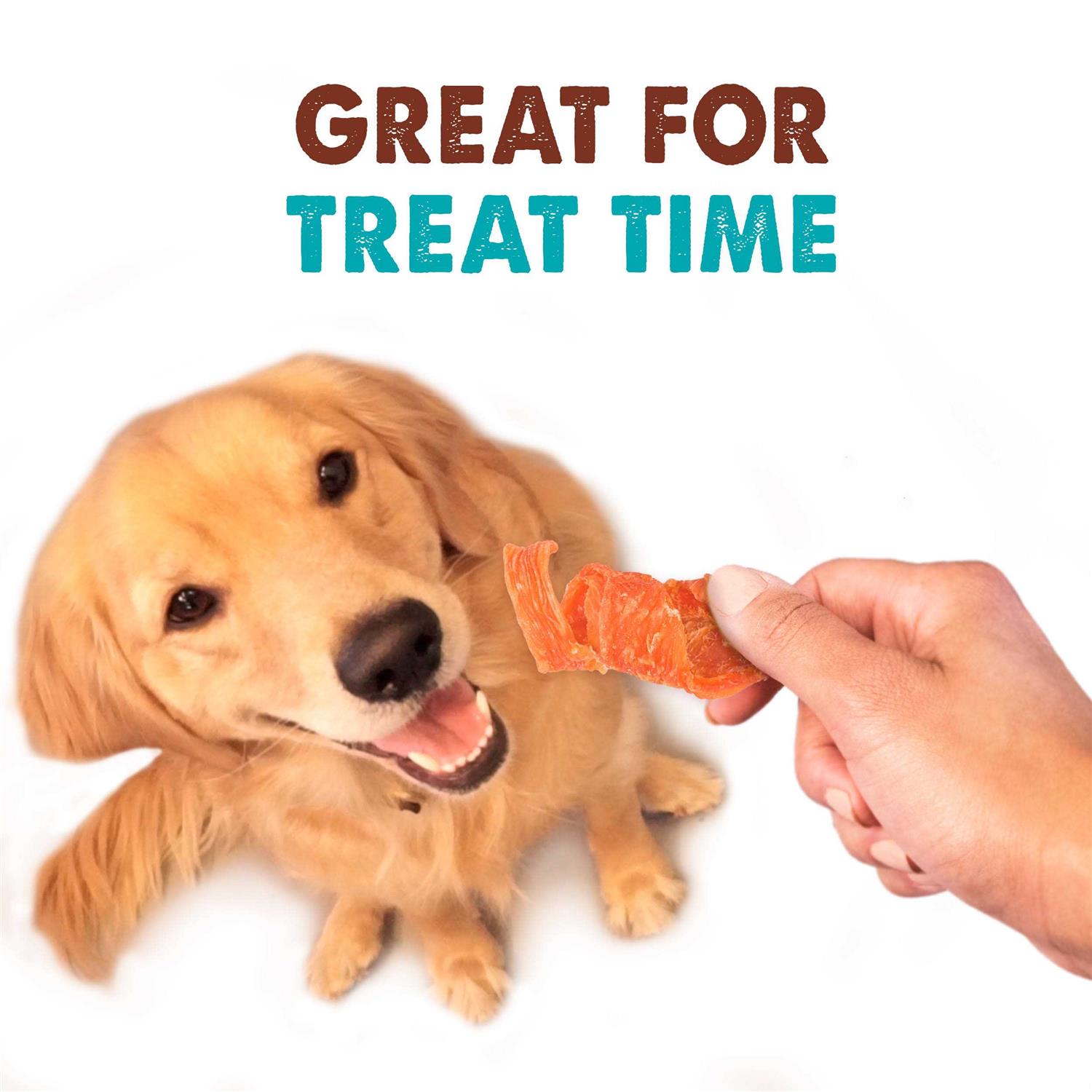 Waggin’ Train Chicken Jerky Curls Dog Treats - Healthber