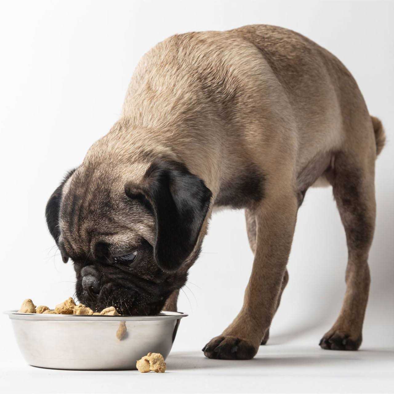 Dr Marty Nature’s Blend Sensitivity Select Freeze Dried Dog Food - Healthber
