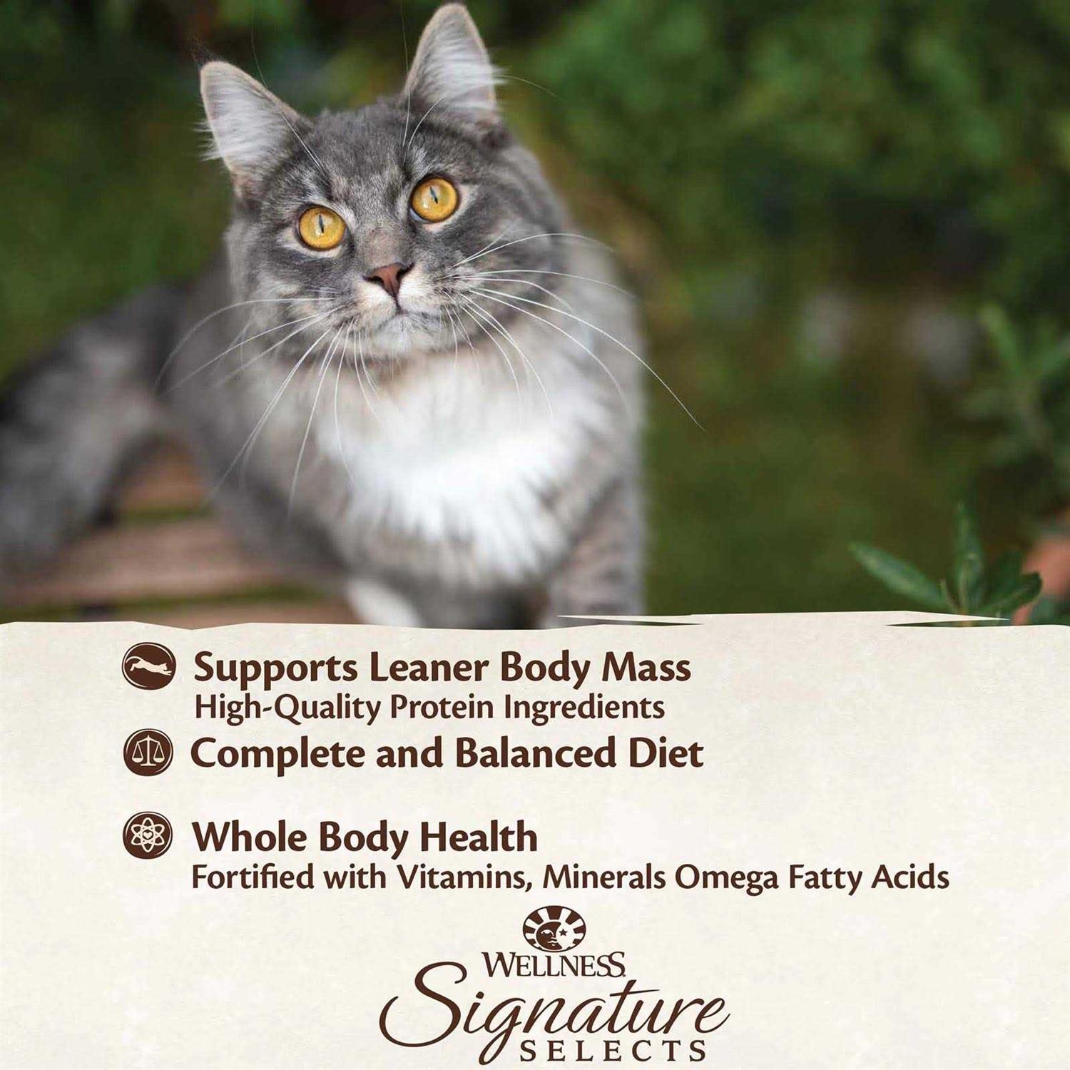 Wellness Core Signature Selects Grain Free Canned Cat Food - Healthber