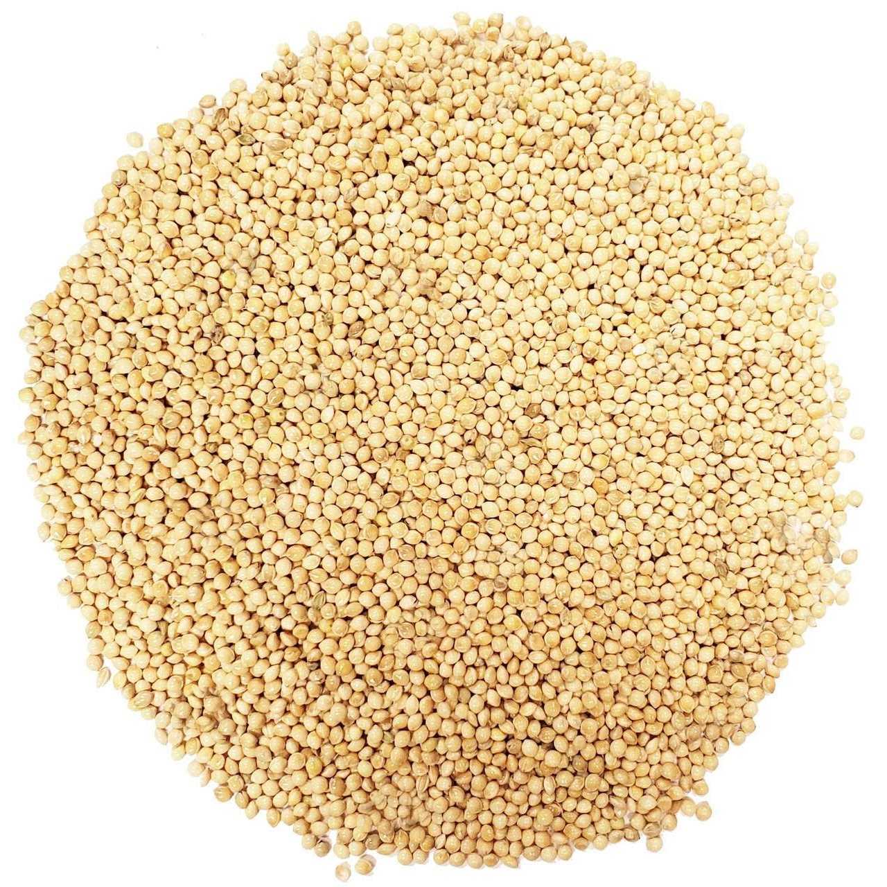 Shafer Seed 84075 White Proso Millet Wild Bird Food, 50-Pound - Healthber