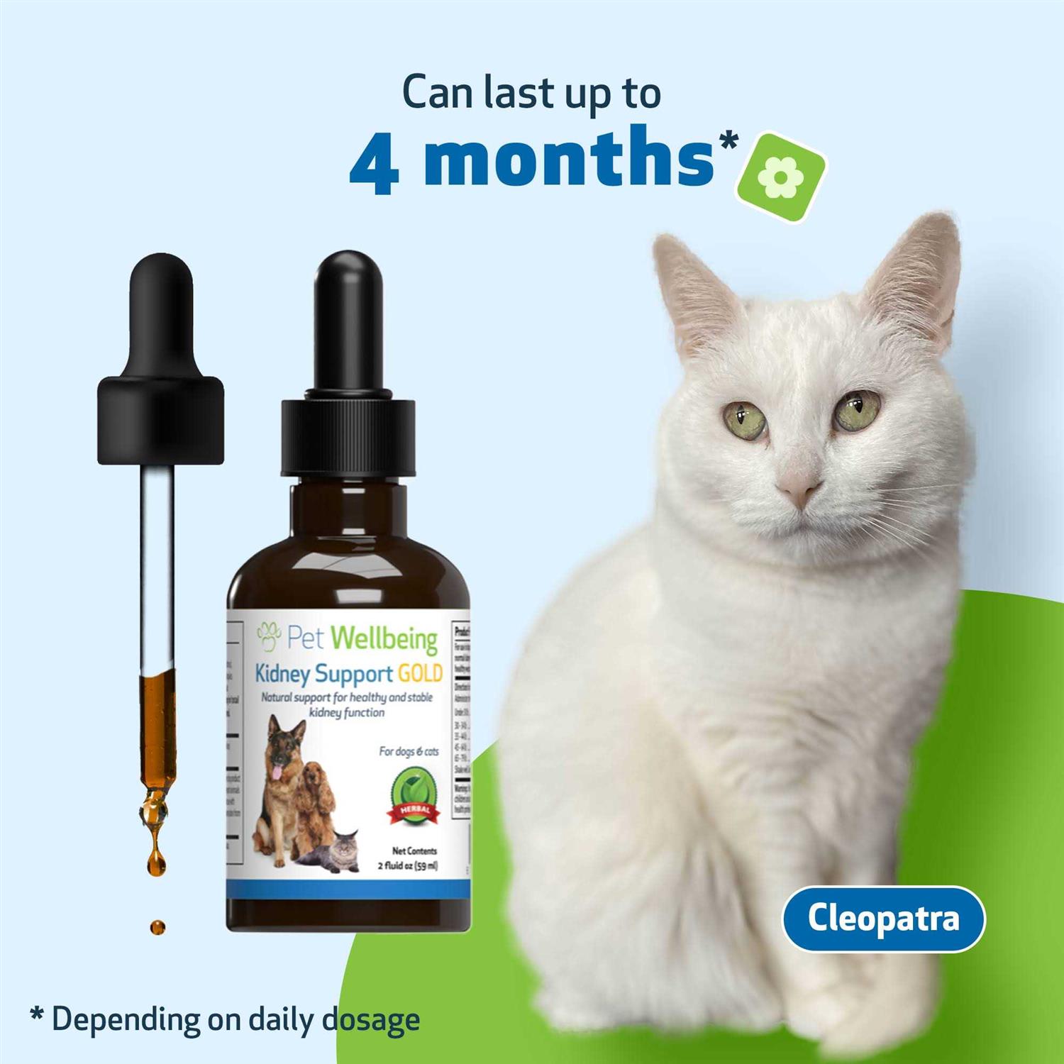 Pet Wellbeing Kidney Support Gold for Dogs - Healthber