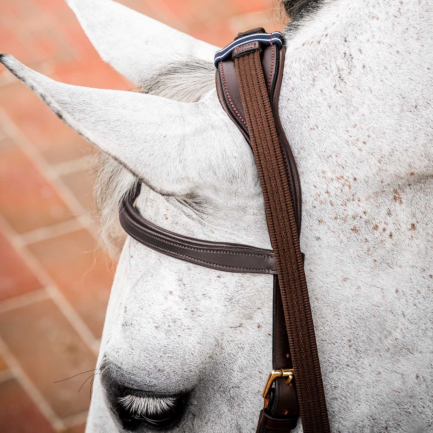 Micklem 2.0 Multi Bridle, Havana - Healthber