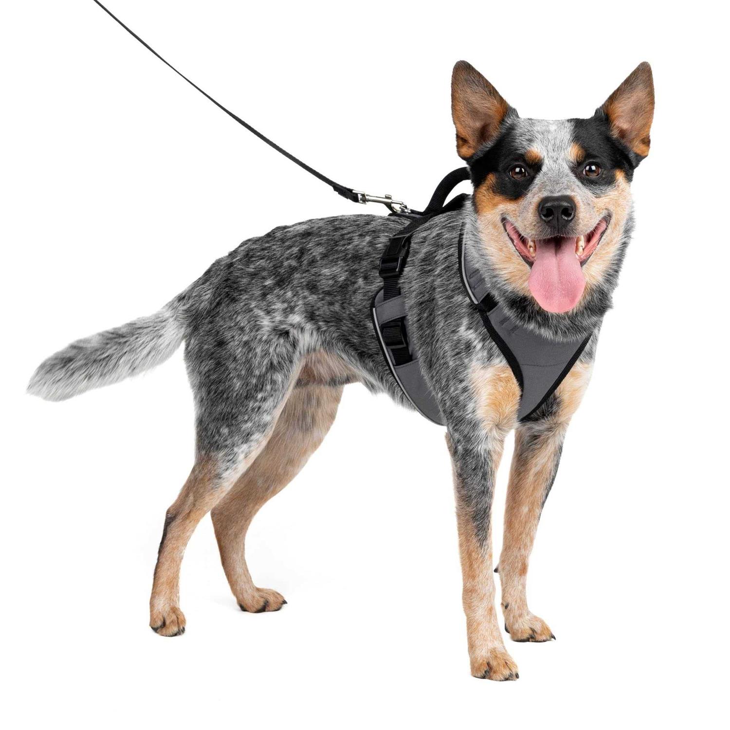 PetSafe EasySport Dog Harness - Healthber