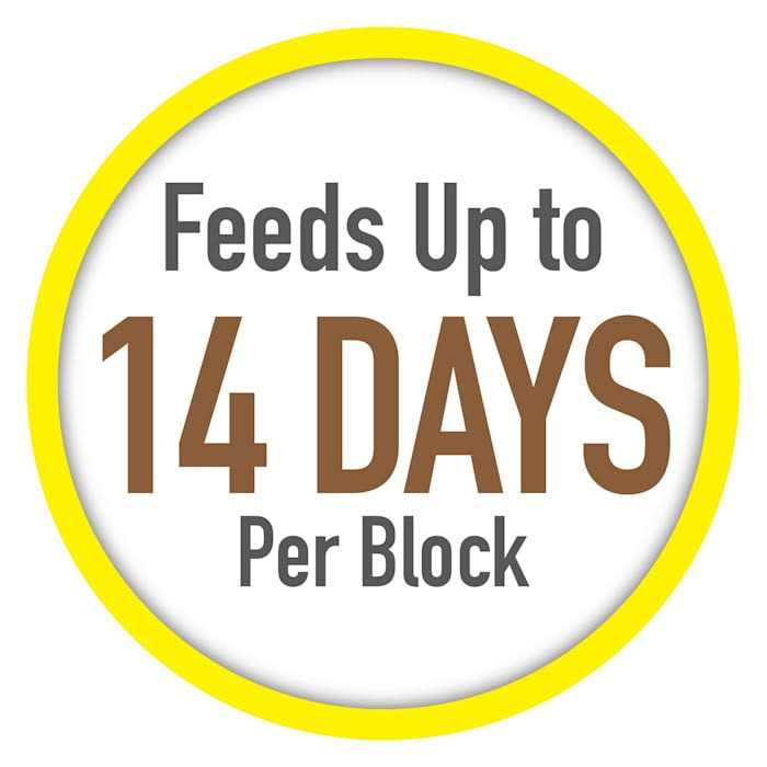 Tetra Vacation Tropical Slow Release Feeder - Healthber