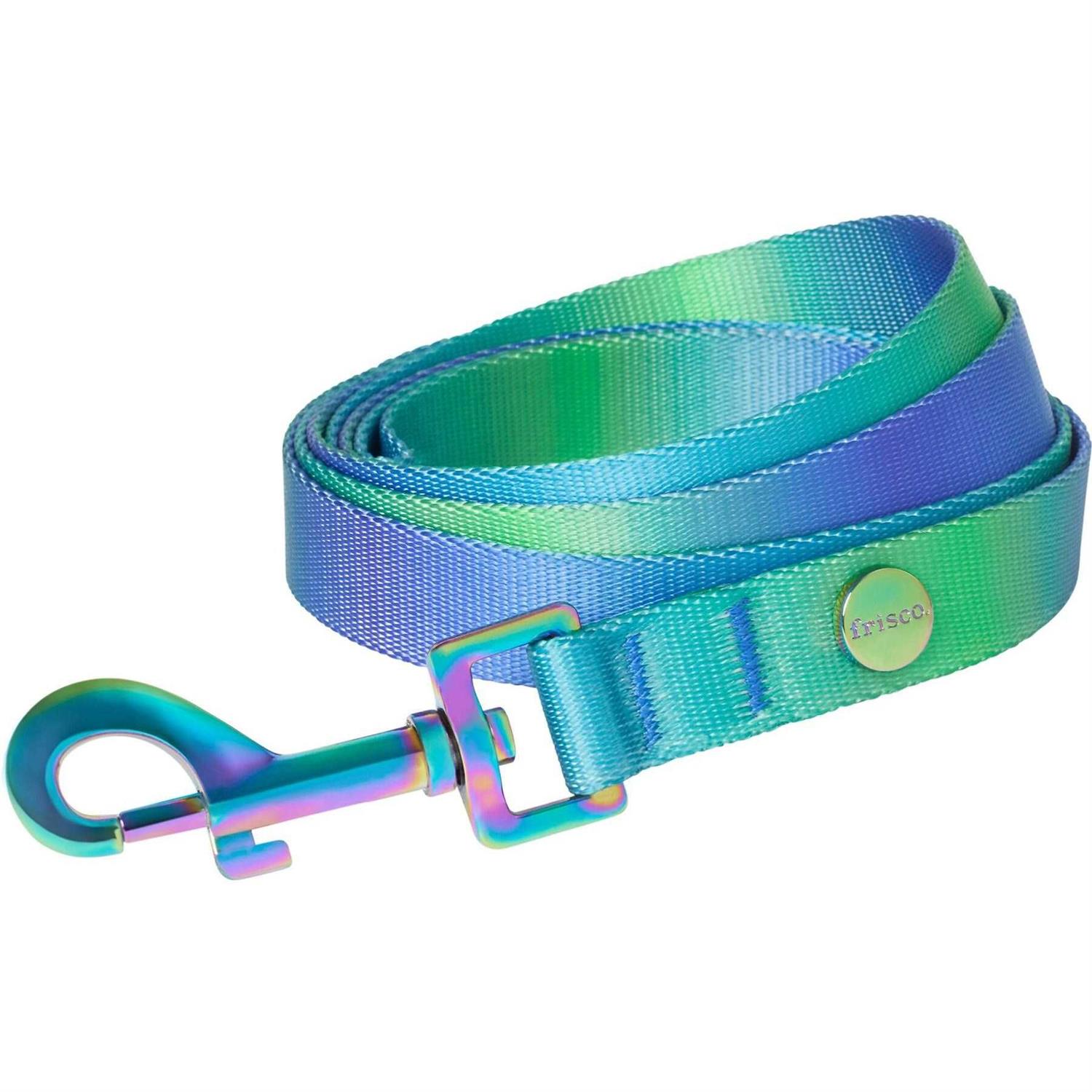 Frisco Ombre Style Dog Leash - Healthber