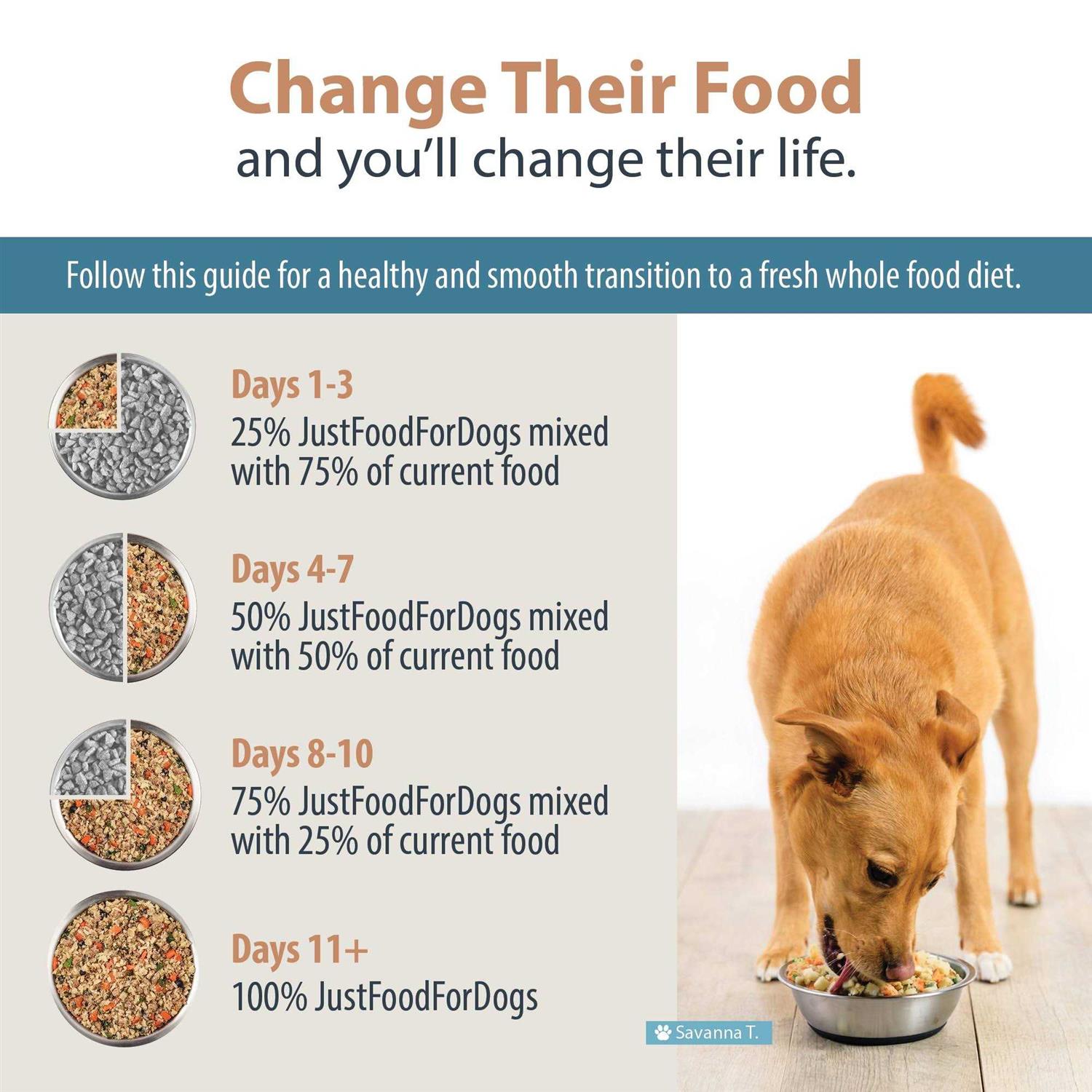 JustFoodForDogs Daily Diets Rice Frozen Dog Food - Healthber