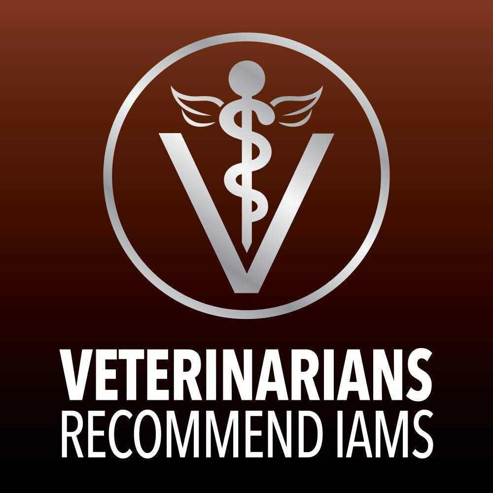 Iams Advanced Health Healthy Digestion Turkey & Chicken Recipe Adult Dry Cat Food - Healthber