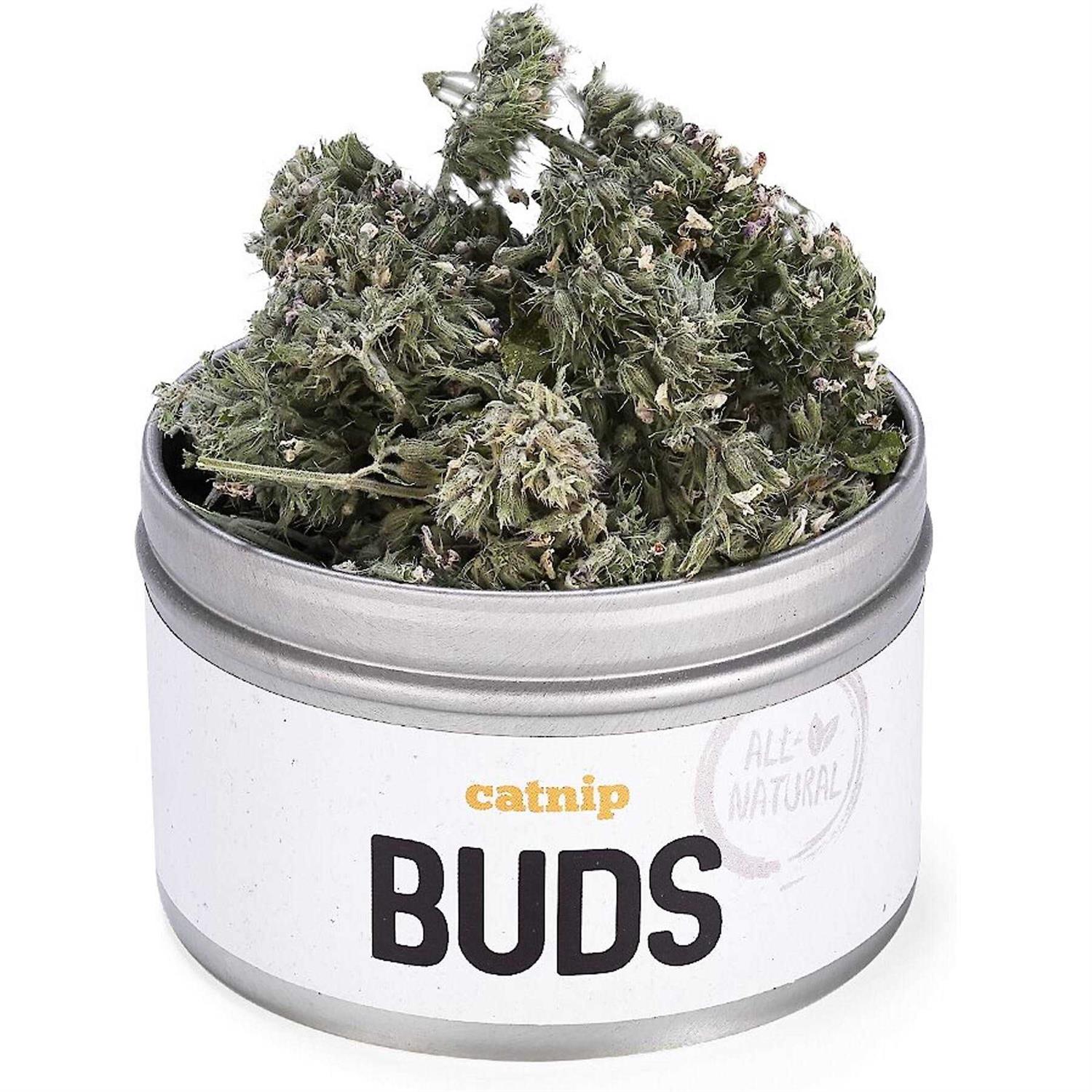 Litterbox.com™ Catnip Buds in Bisque - Healthber