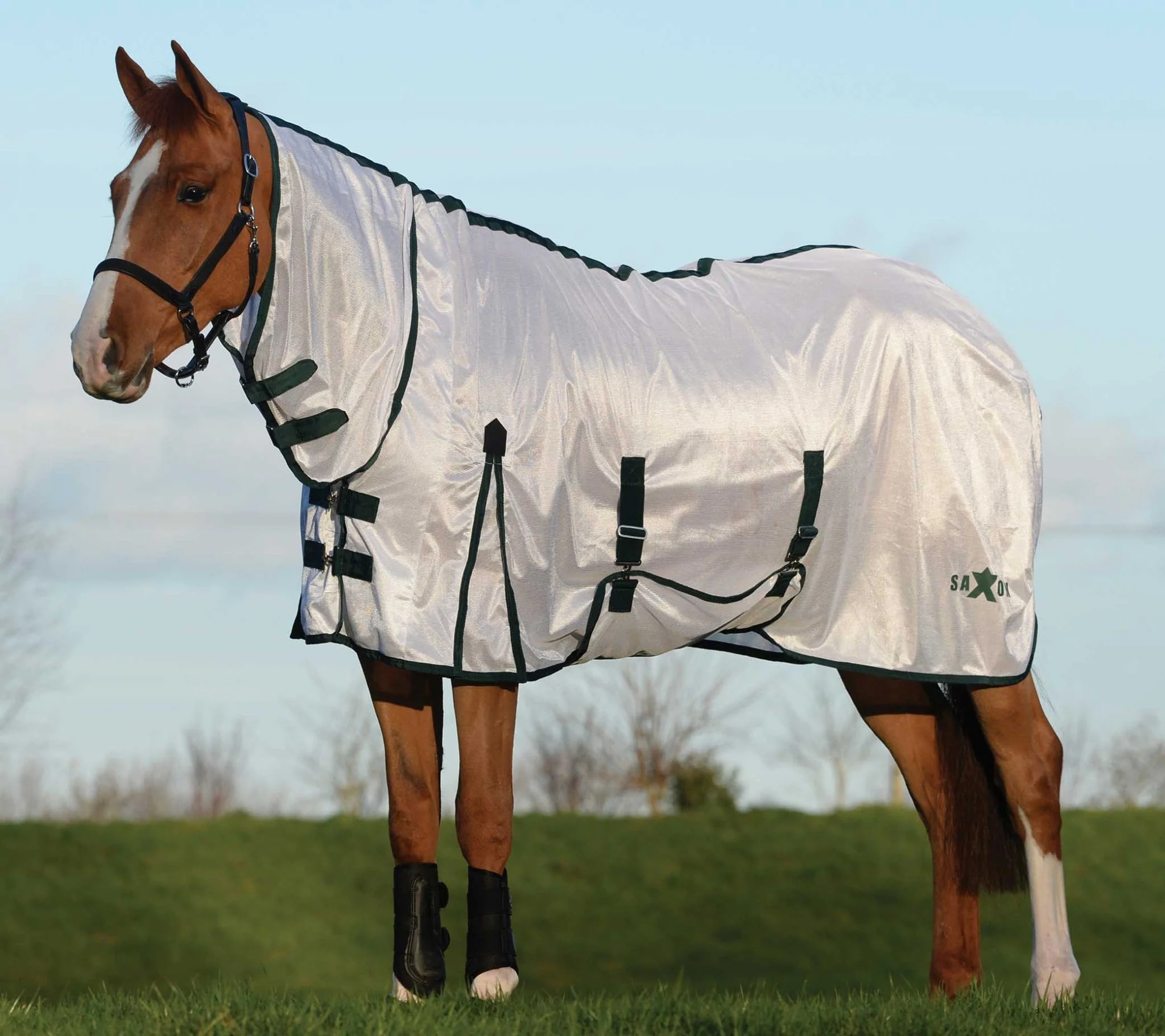 Saxon Combo Neck Mesh Horse Fly Sheet - Healthber