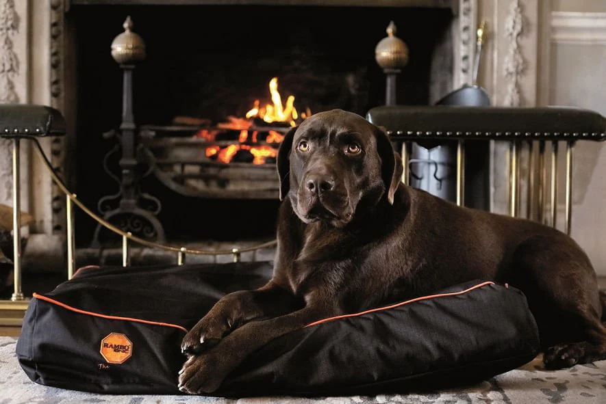 Rambo Ionic Dog Bed - Healthber