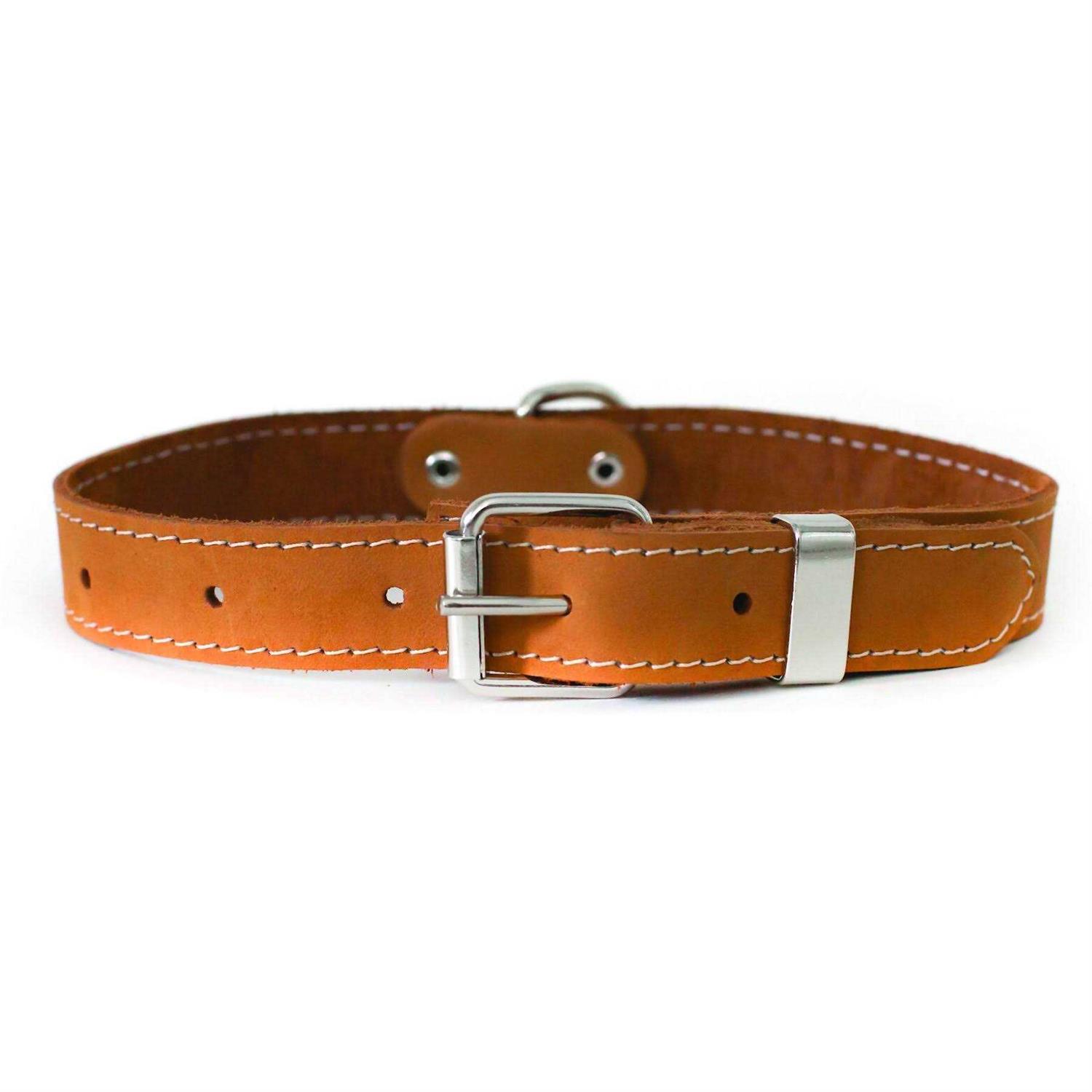 Euro-Dog Luxury Soft Leather Collar - Healthber