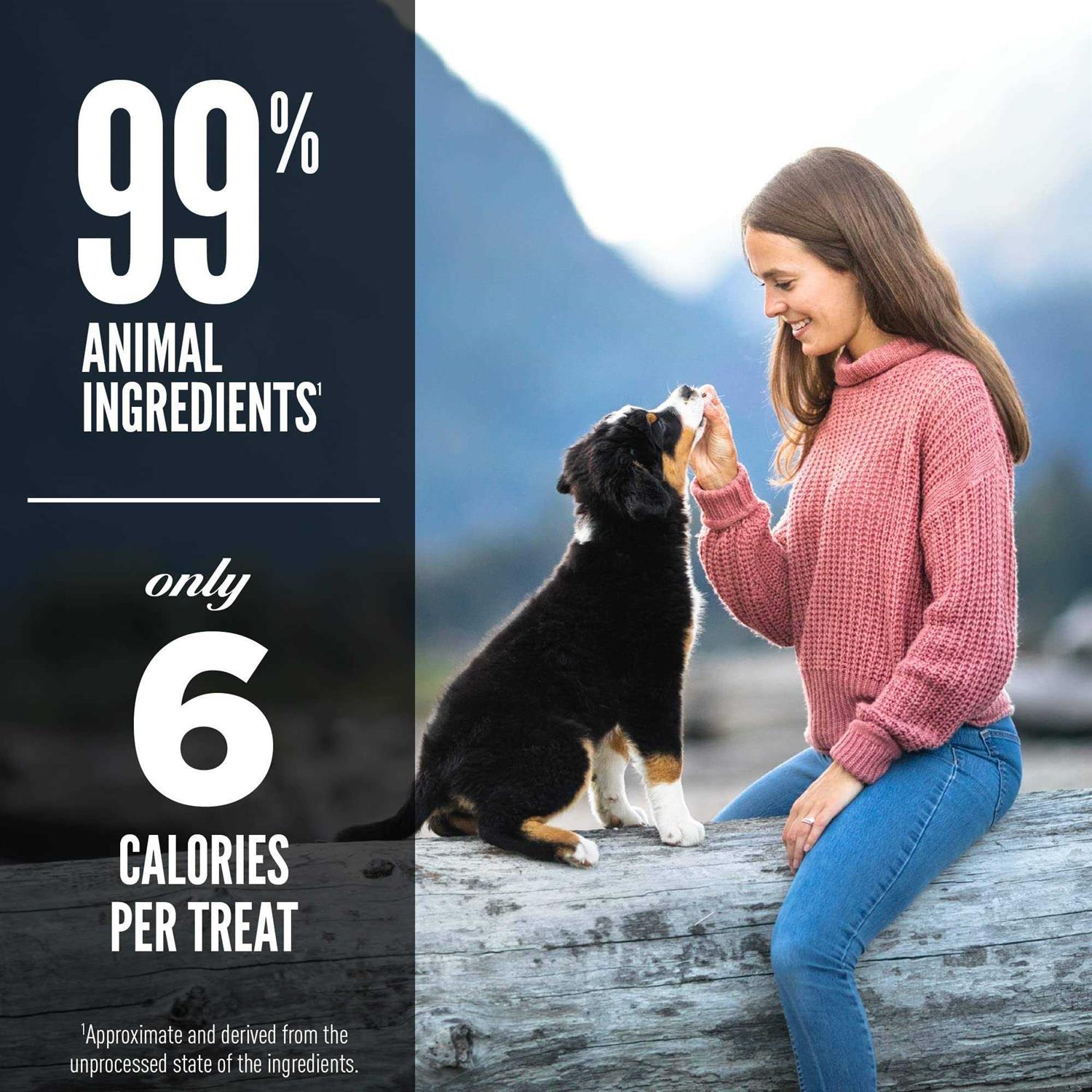 Orijen Freeze Dried Dog Treats - Healthber