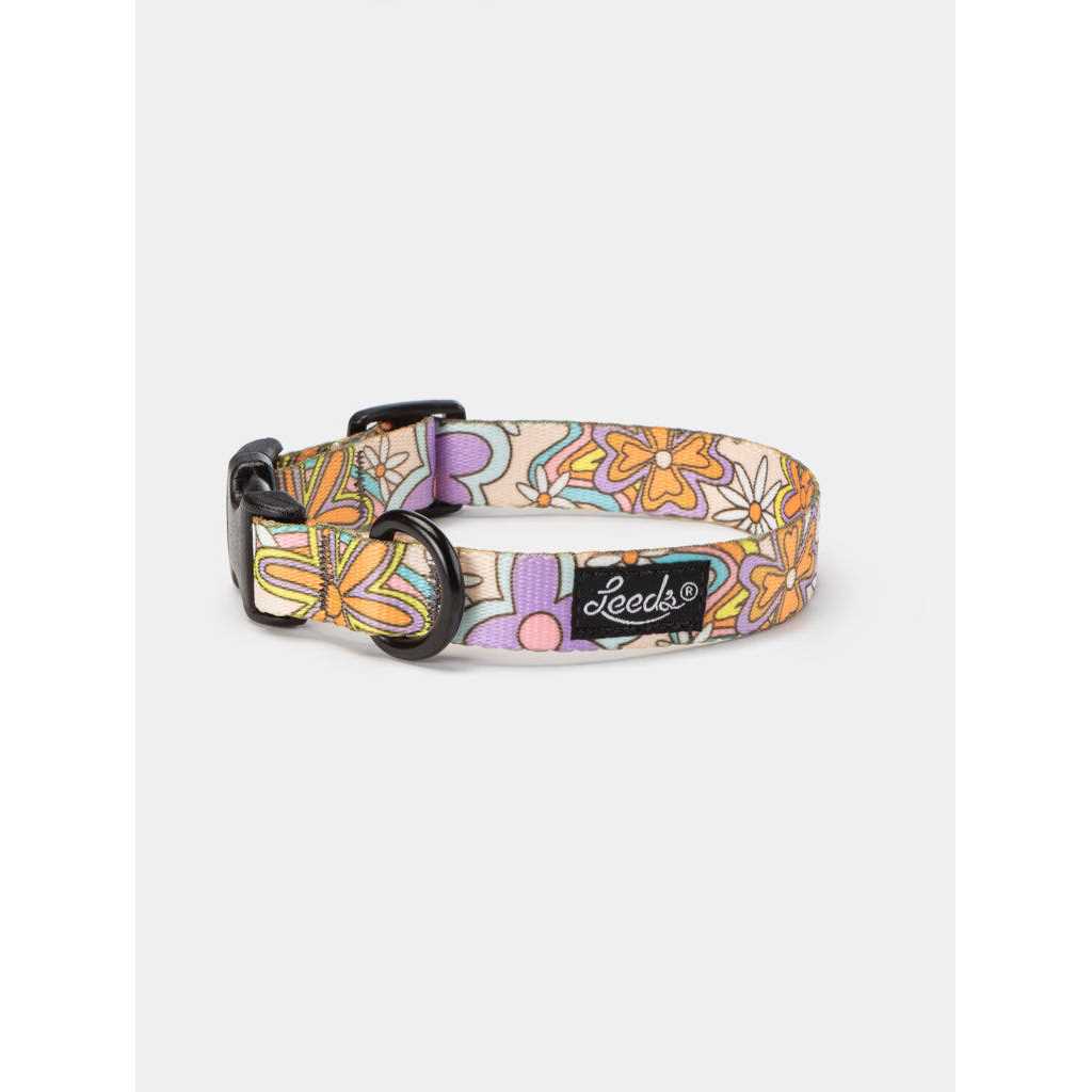 Leeds Dog Supply Dazey Collar - Healthber