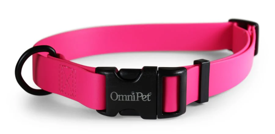 Carnival Collars - Healthber