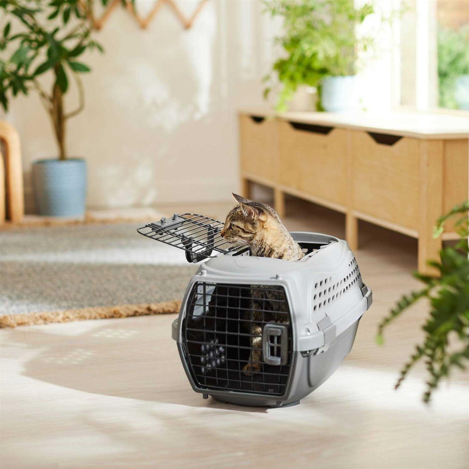 Frisco Two Door Plastic Dog & Cat Kennel - Healthber