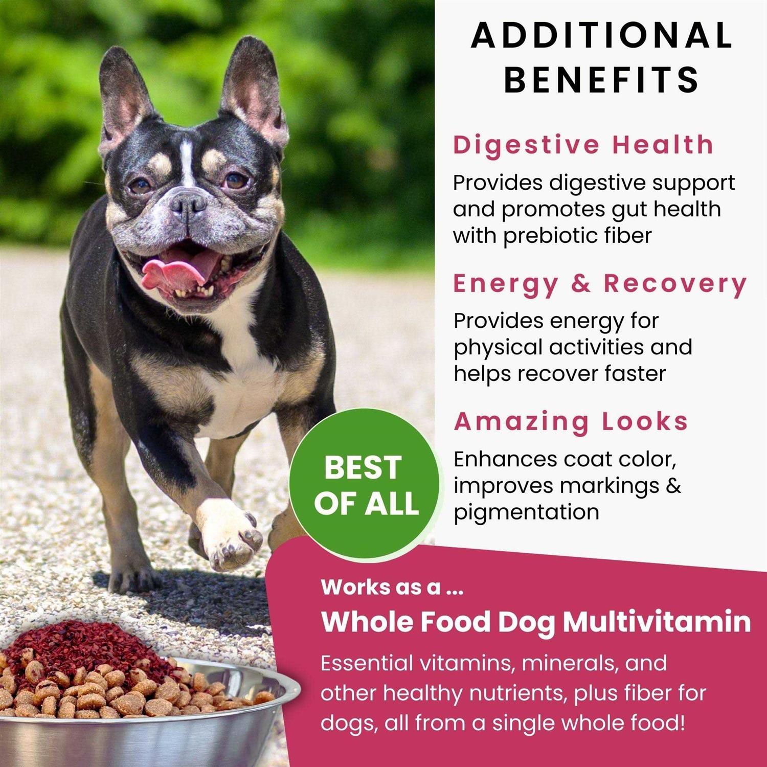 Olewo Dehydrated Red Beets Itch and Allergy Relief Dog Food Supplement Non-GMO Product - Healthber