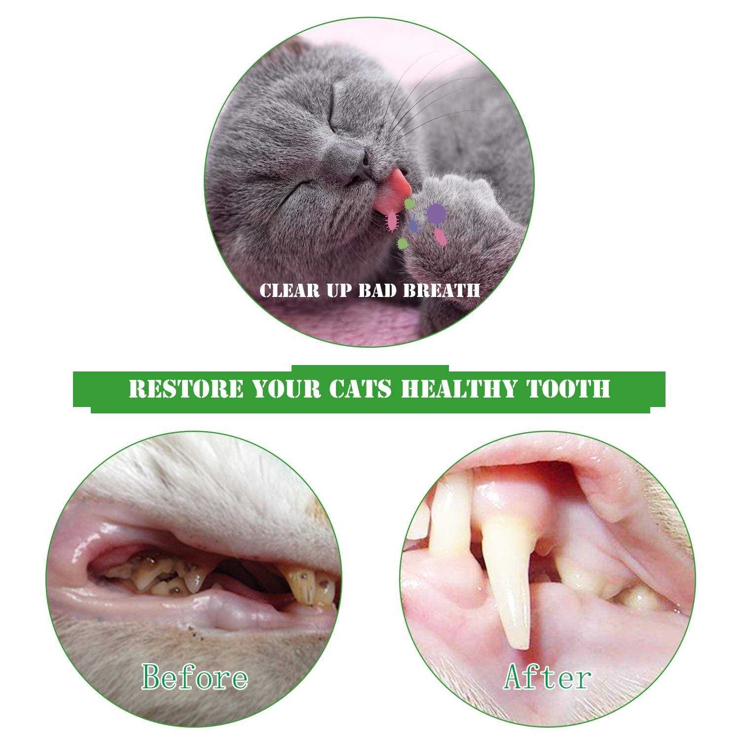 Eeaivnm cat toothbrush catnip toy,interactive rubber dental care for pet kitten kitty - Healthber