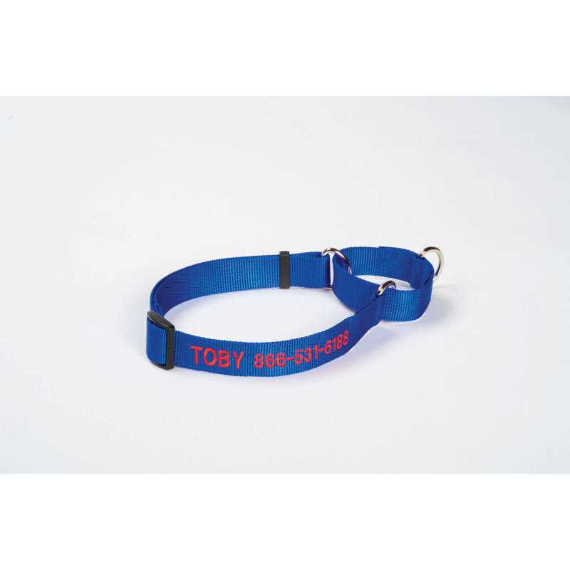 Orvis Dog’S Martingale Collar - Healthber