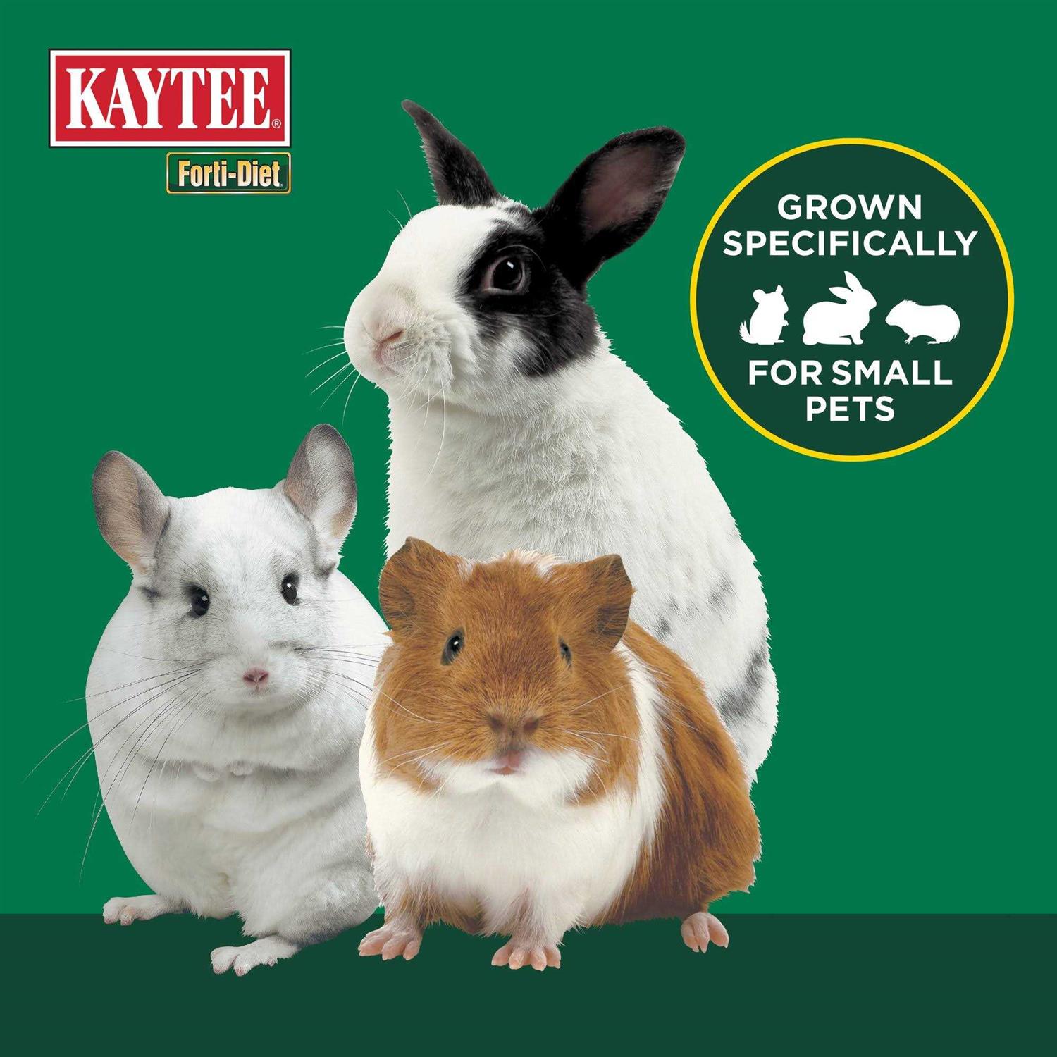 Kaytee Forti diet Timothy Hay for Small Animals - Healthber