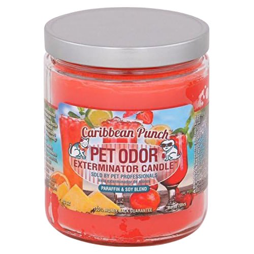 Pet Odor Exterminator Candle, Caribbean Punch, 13 oz - Healthber