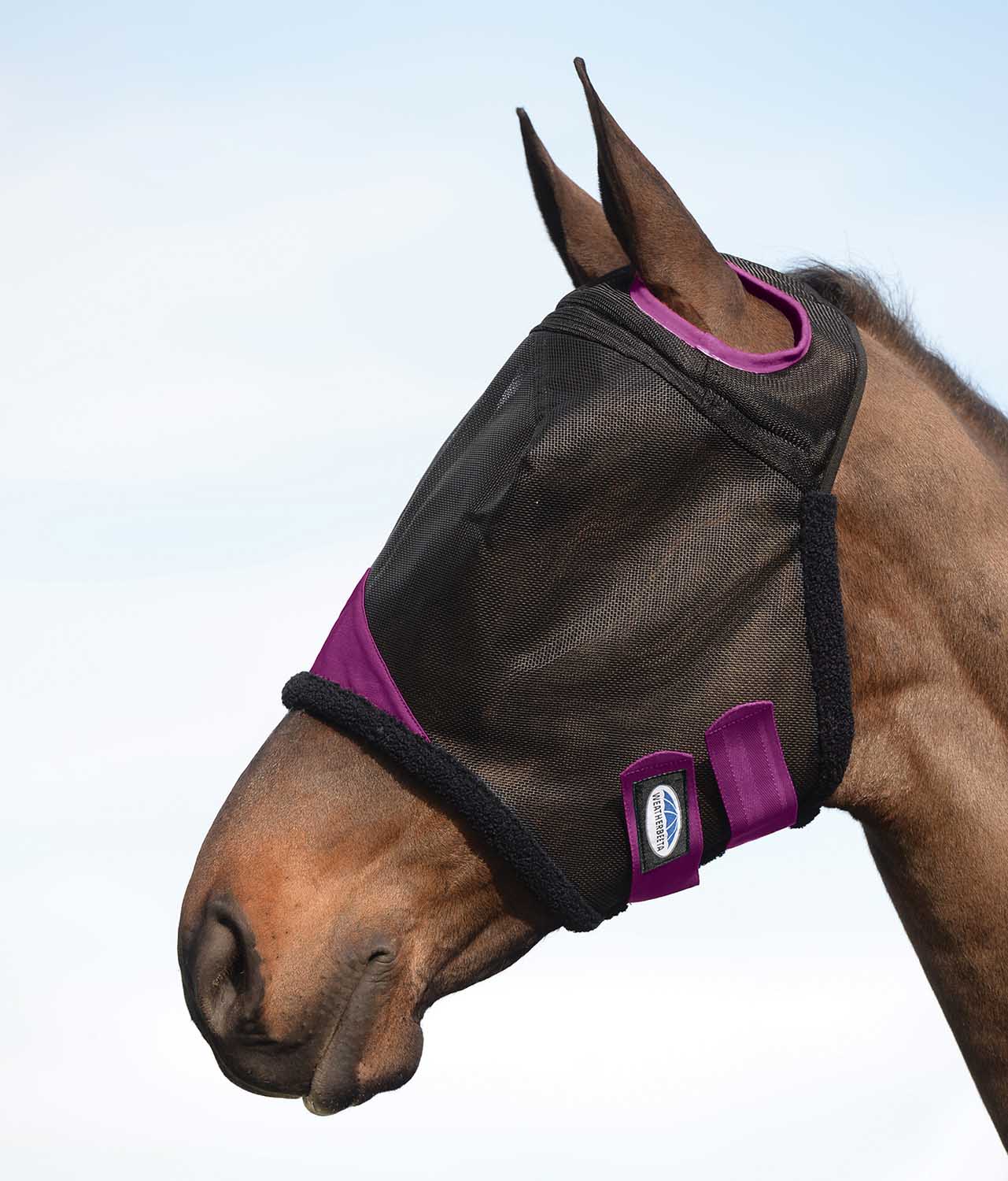 Weatherbeeta ComFITec Durable Mesh Horse Fly Mask, Black/Purple - Healthber