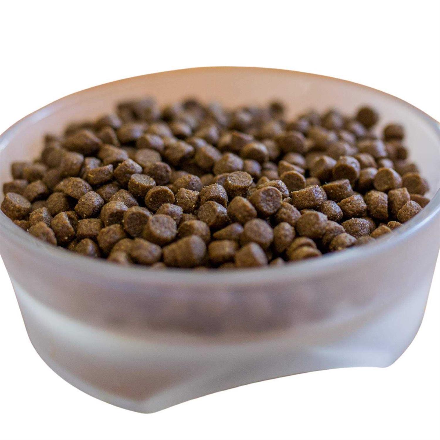 Dr. Tim’s Kinesis All Life Stages Dry Dog Food - Healthber