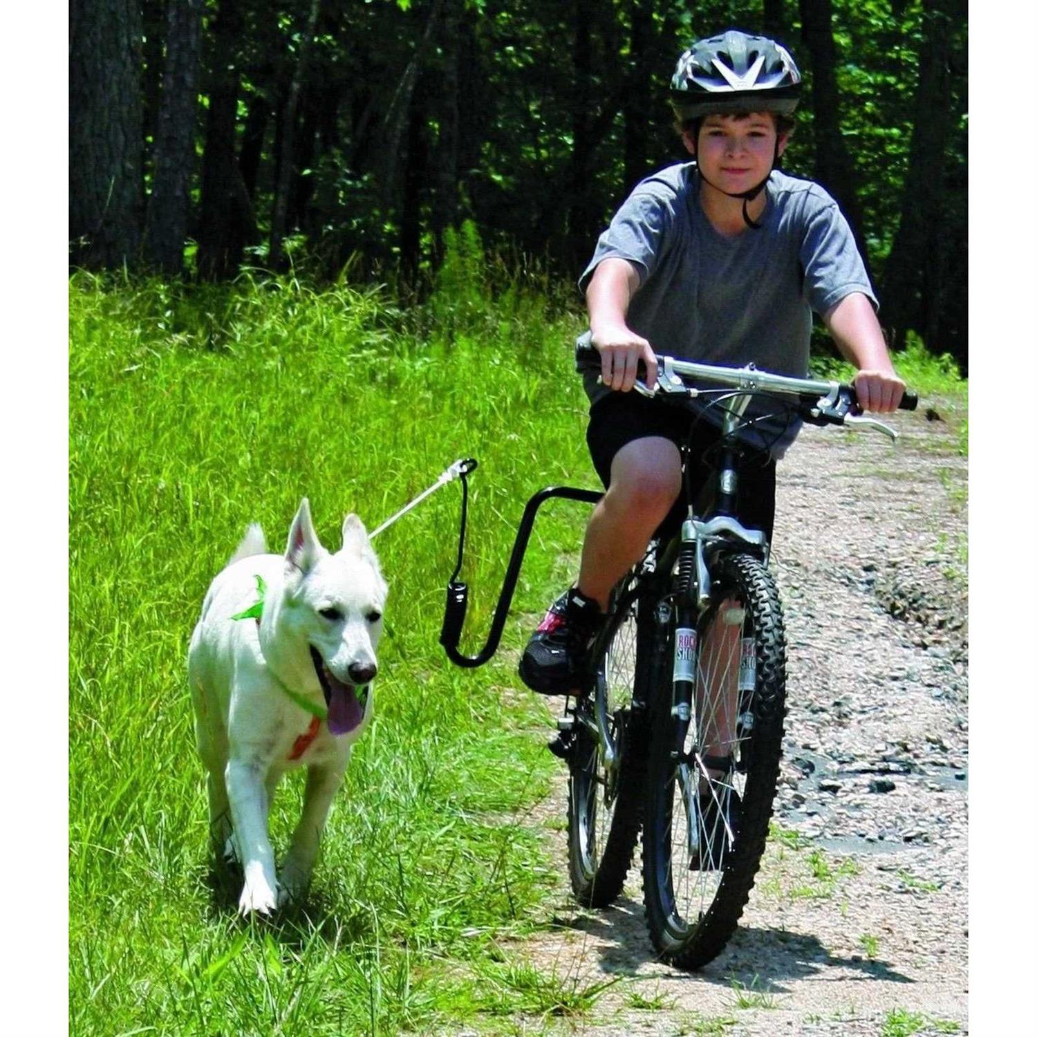 Springer Hands Free Dog Leash Bike Attachment Kit -Pet Exerciser for Running - Healthber