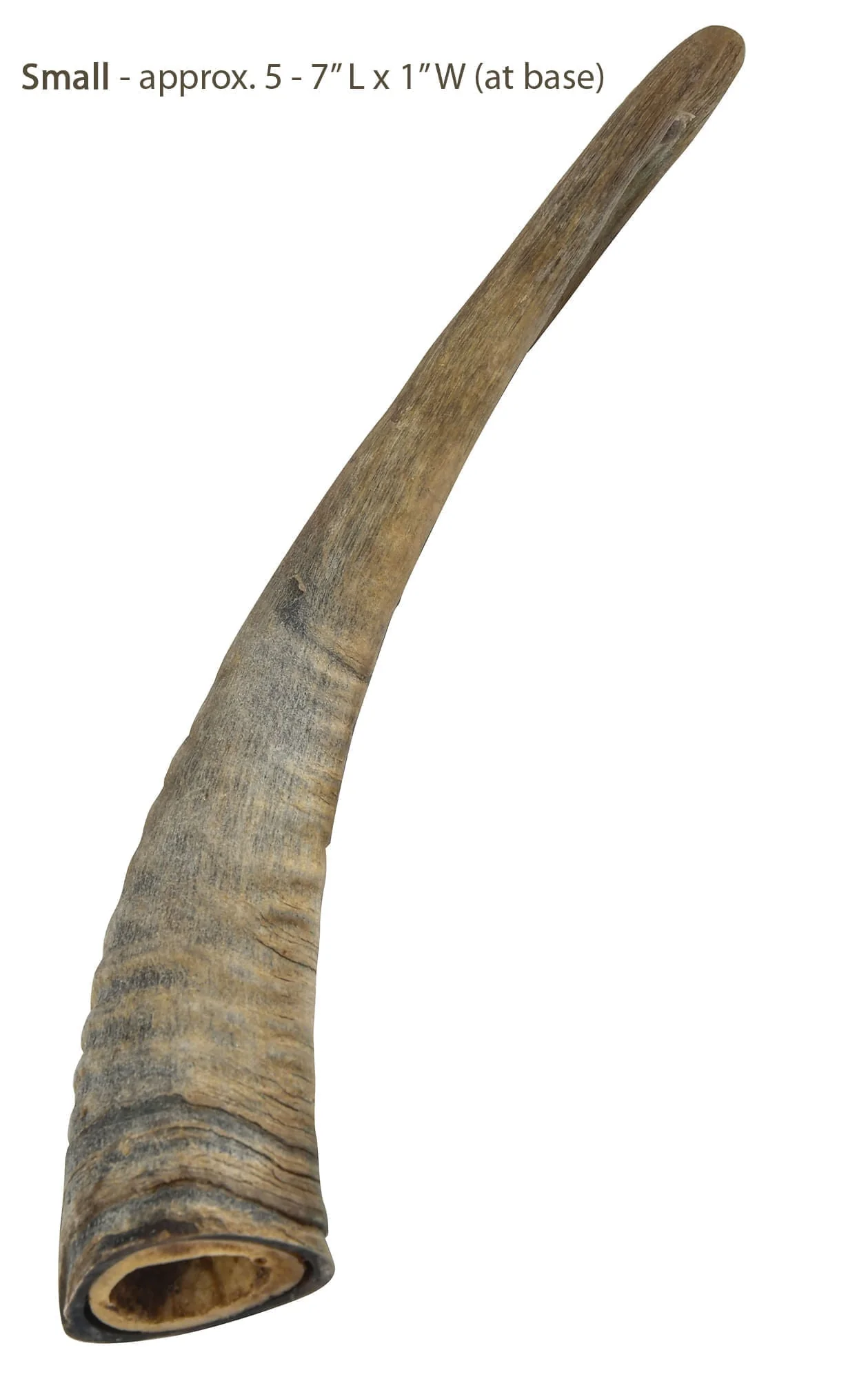 Gobi Goat Horn Natural Dog Chew - Healthber
