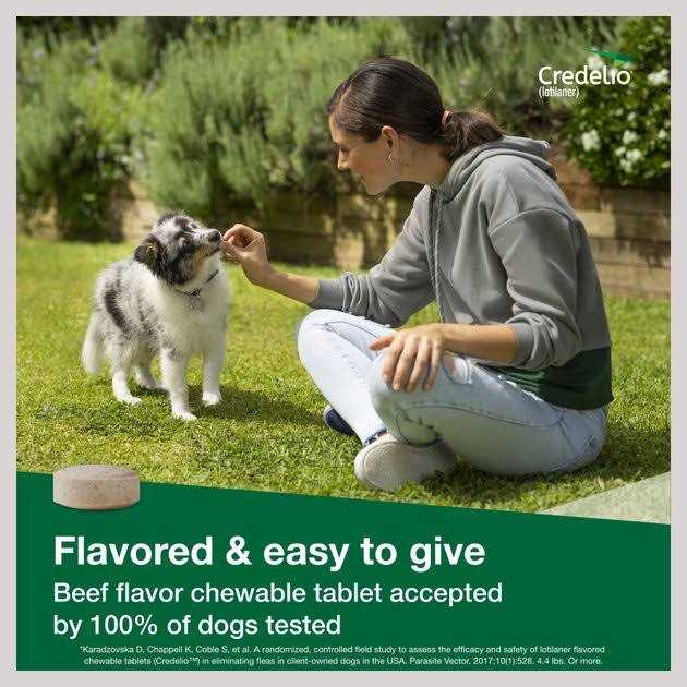 Credelio Chewable Tablet for Dogs - Healthber