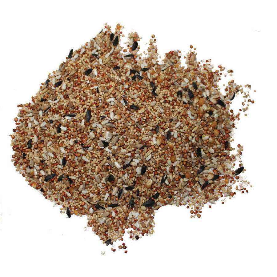 3-d Pet Products Premium Dove & Quail Food - Healthber