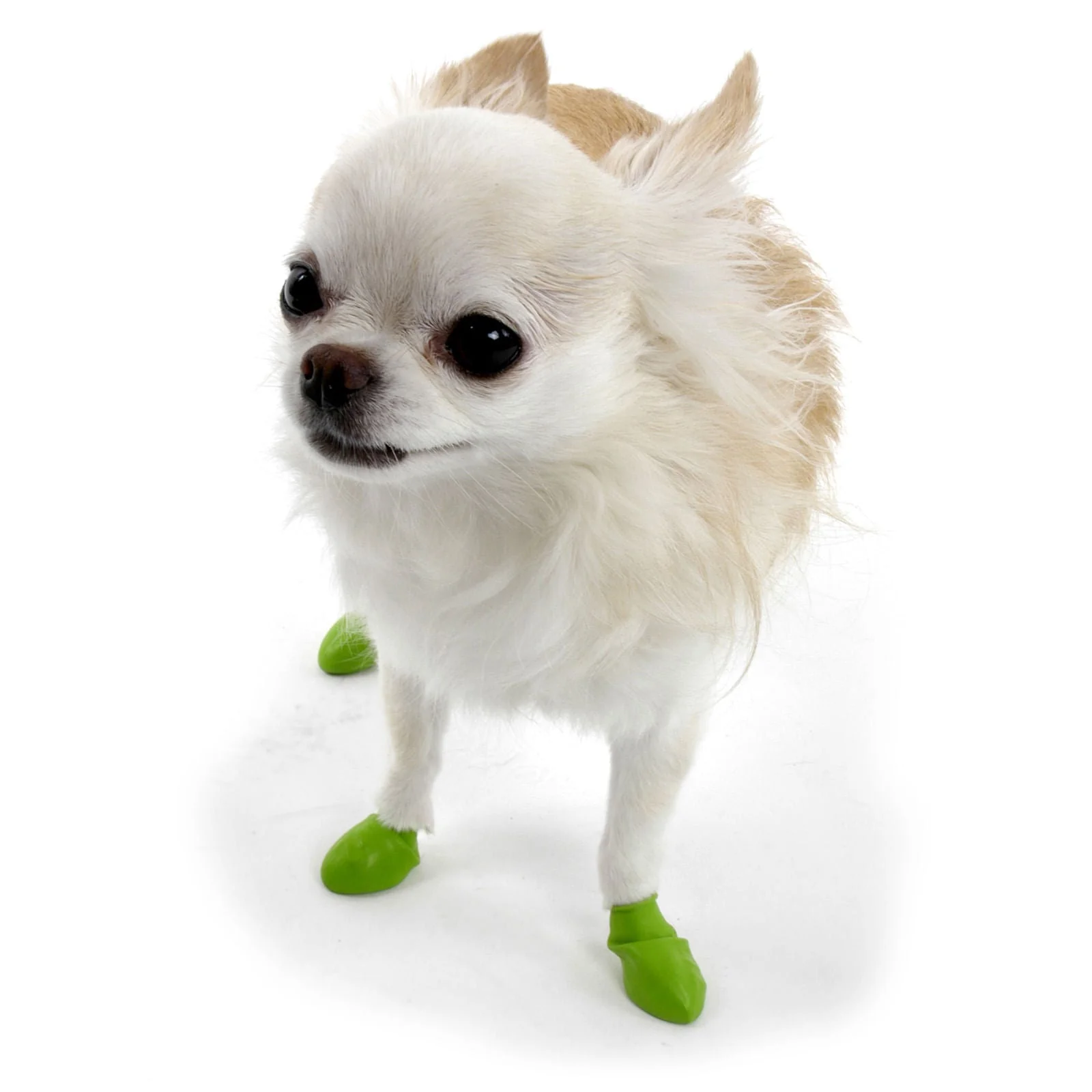 PawZ Dog Boots, 12 pk - Healthber