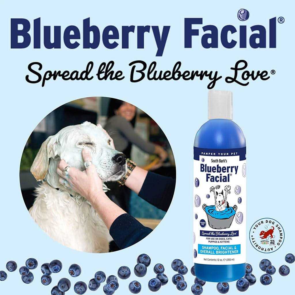 South Bark Blueberry Facial - Healthber