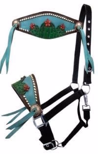 Showman Painted Cactus & 3D Flower Bronc Halter - Healthber