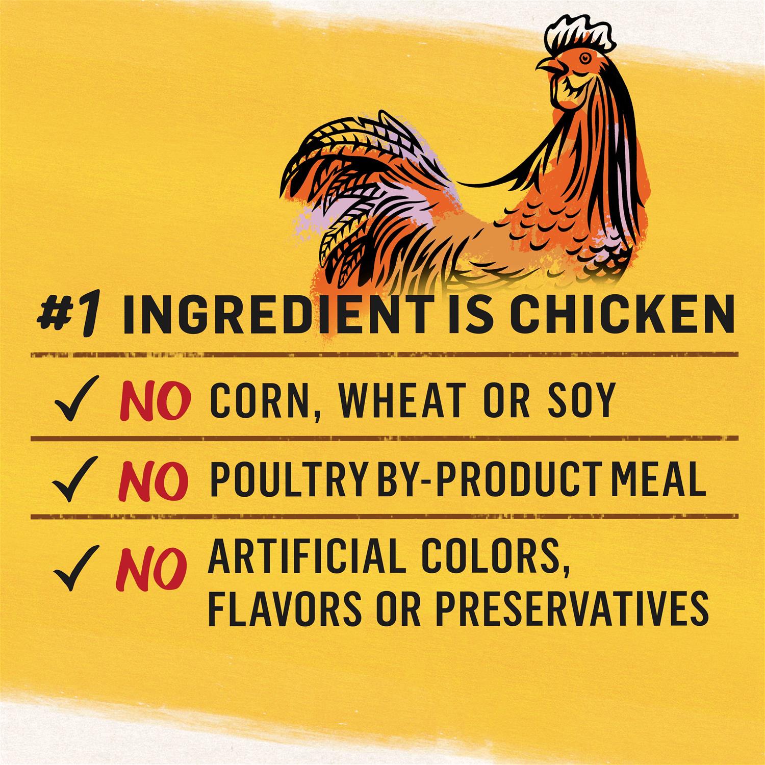 Purina Beyond Grain-Free Wet Cat Food - Healthber