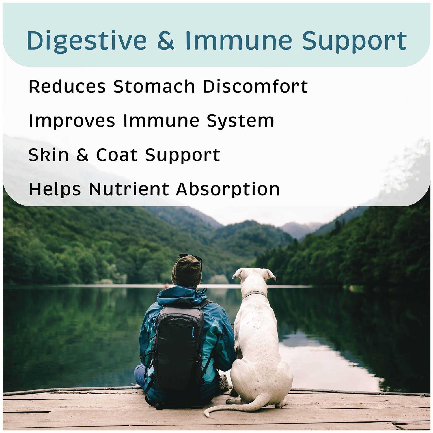 VetOne Advita Probiotic Nutritional Supplement for Dogs - Healthber