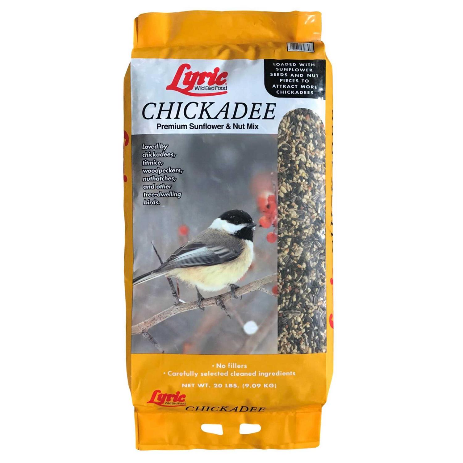 Lyric Chickadee Wild Bird - Healthber