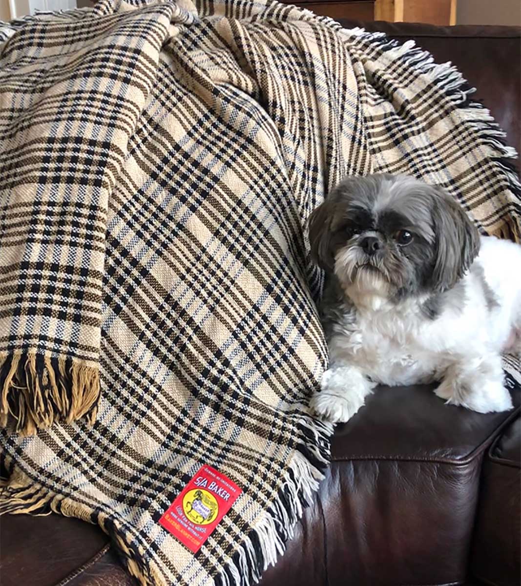 5/A Baker Plaid Afghan - Healthber